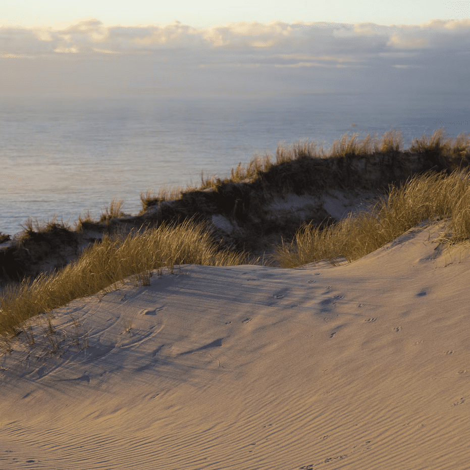 Strand duinen, omringd door een uitgestrekt landschap.