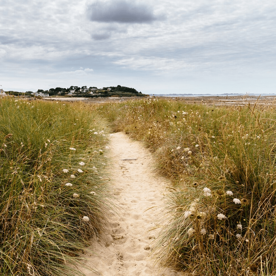 Een pad slingert door het hoge gras in de duinen, omringd door natuur en rust.