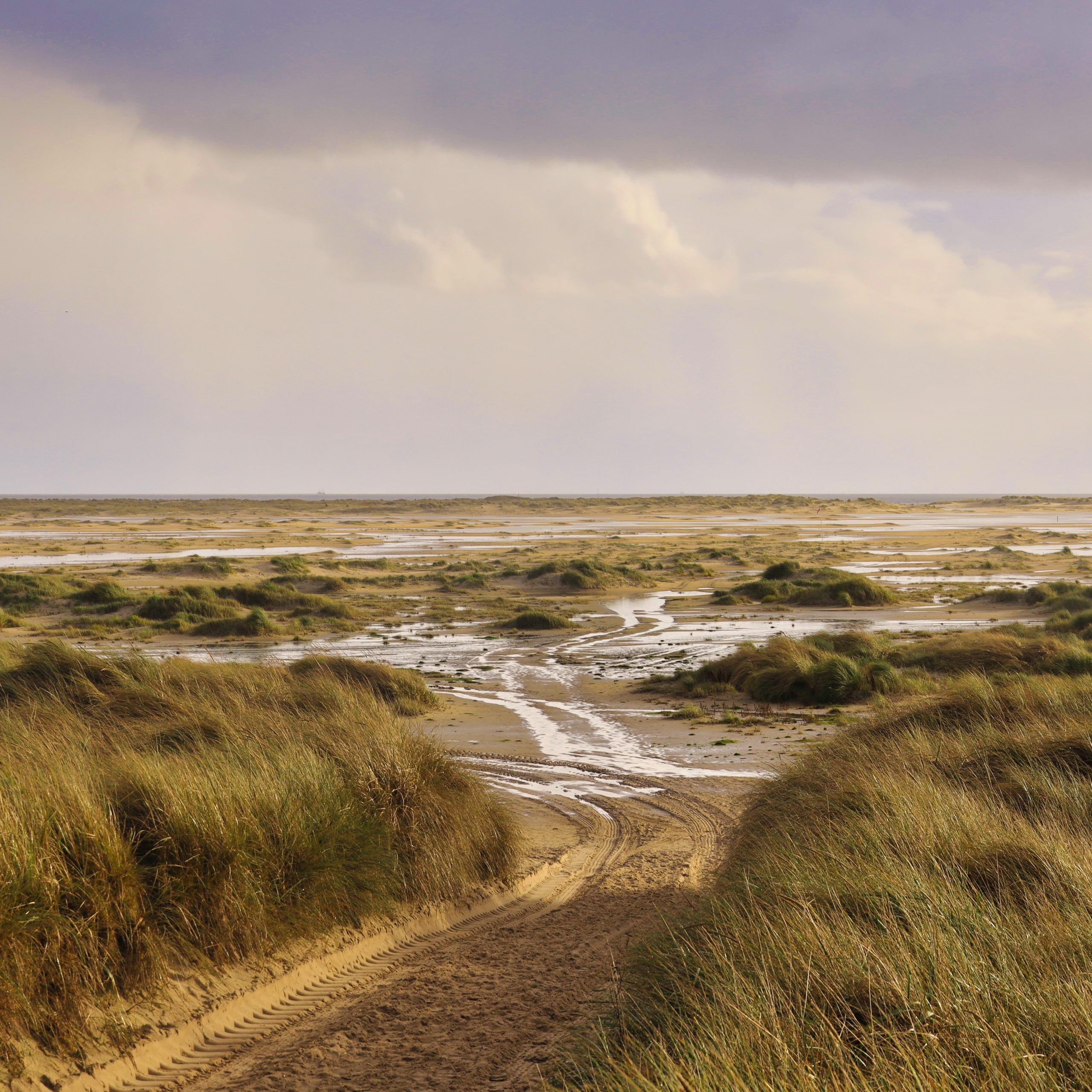 Een onverharde weg slingert door een grasrijk gebied tussen de duinen.
