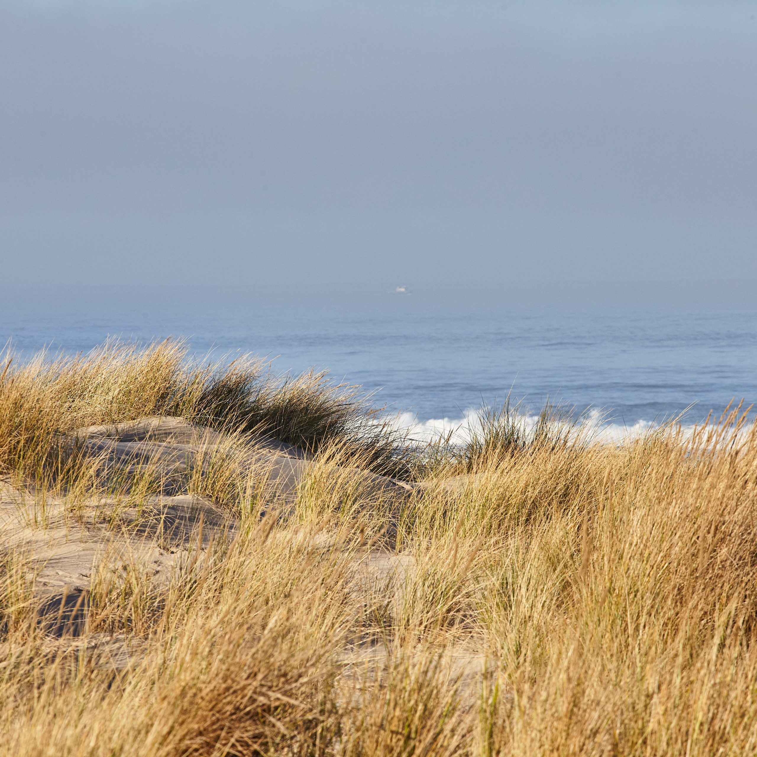 Zandduinen met de oceaan op de achtergrond, waar de zon de horizon verlicht.